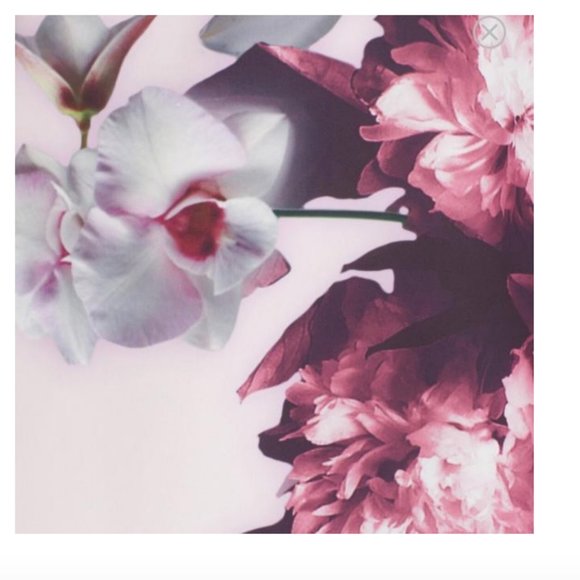 Ted Baker Amiro Embellished Pink Black Floral Print Sheath Dress size 2 nwot - Picture 9 of 16